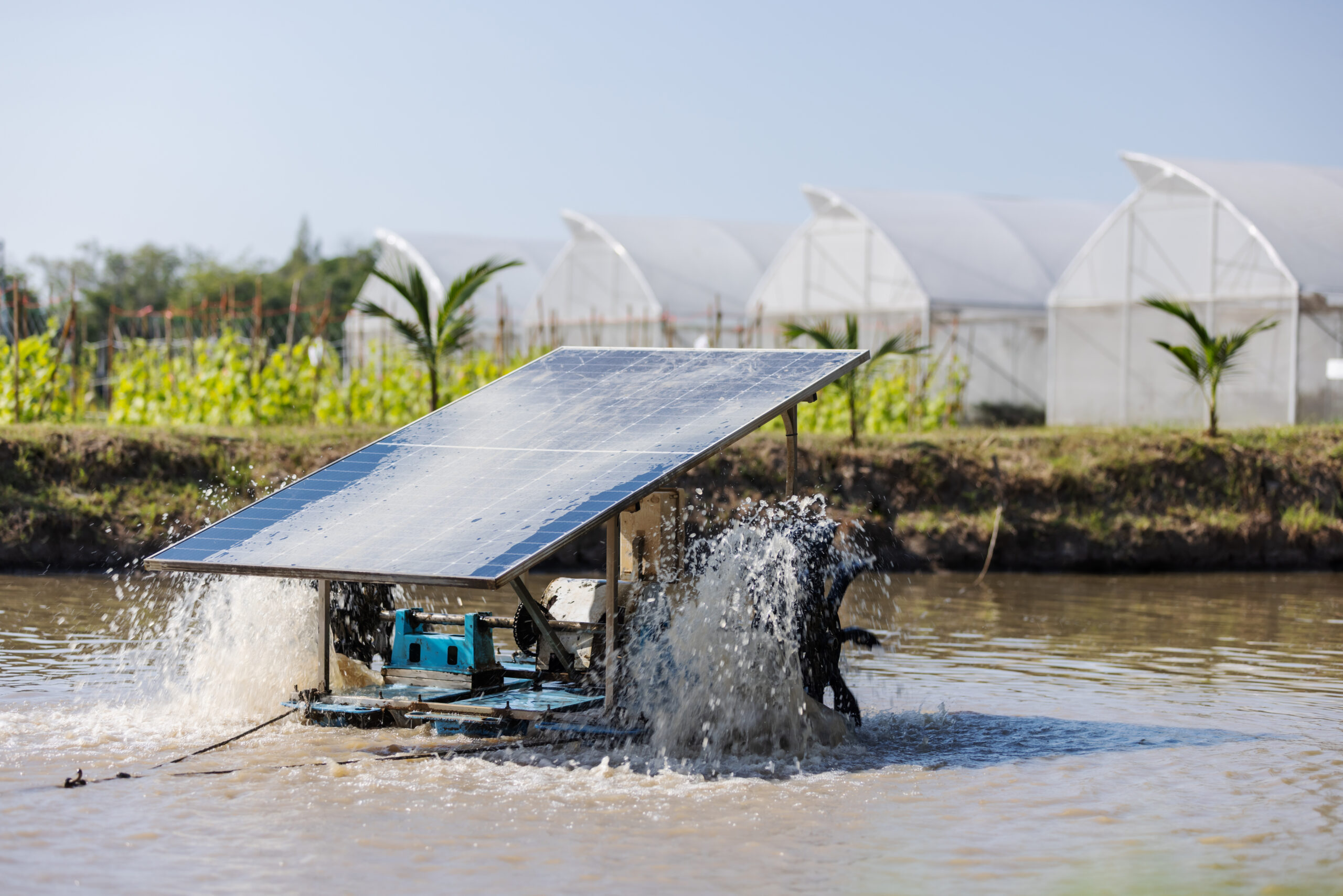 a solar powered aerator splashes water in a pond t 2026 03 27 00 39 45 utc scaled